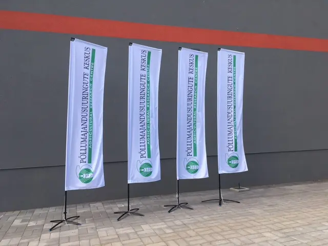 Blokklipp personaalse reklaamtrükiga